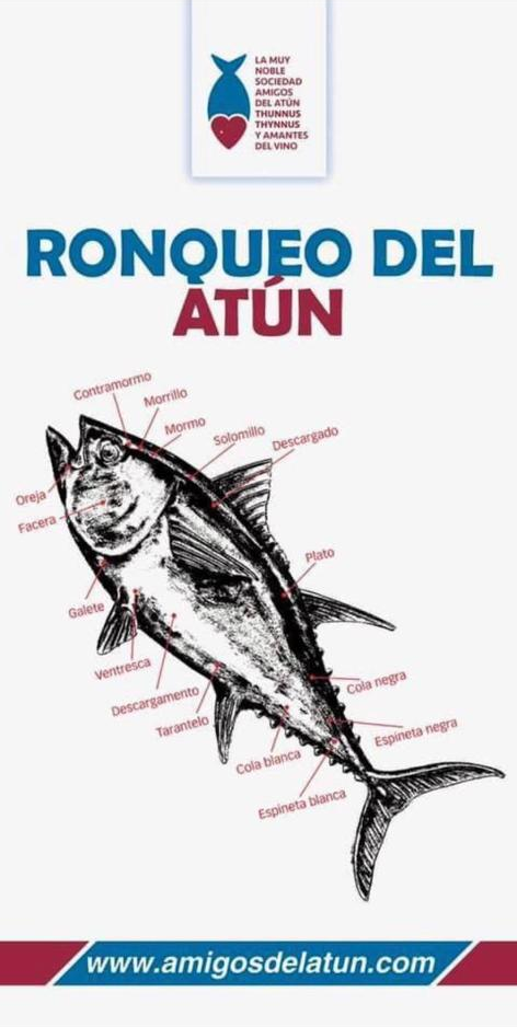 XII Ronqueo del atún